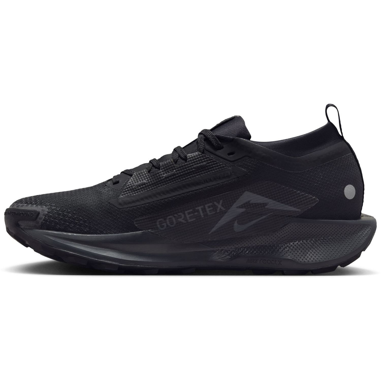Nike Pegasus Trail 5 GTX Heren