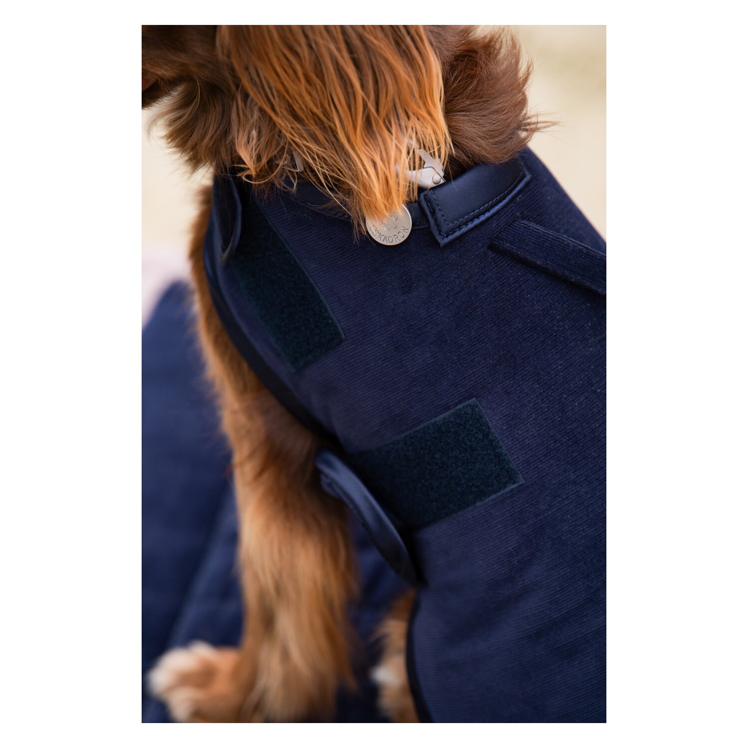 ESKADRON Classic Sports Hundemantel Cord  - navy - 55 cm