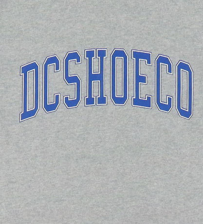 DC T-Shirt - Varsity - Grau