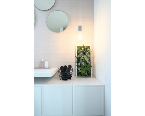 Plantenfoto jungle design lijst wit 140x40 cm