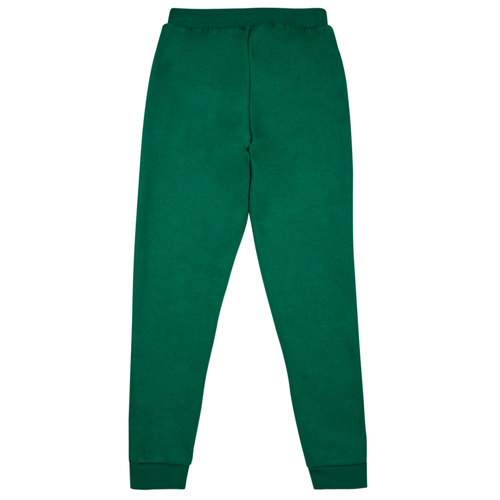 Adidas Sportswear - BLUV Q3 PANT - Vert / Blanc