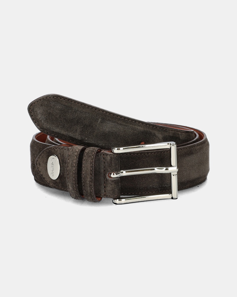 Greve Riem  - bruin