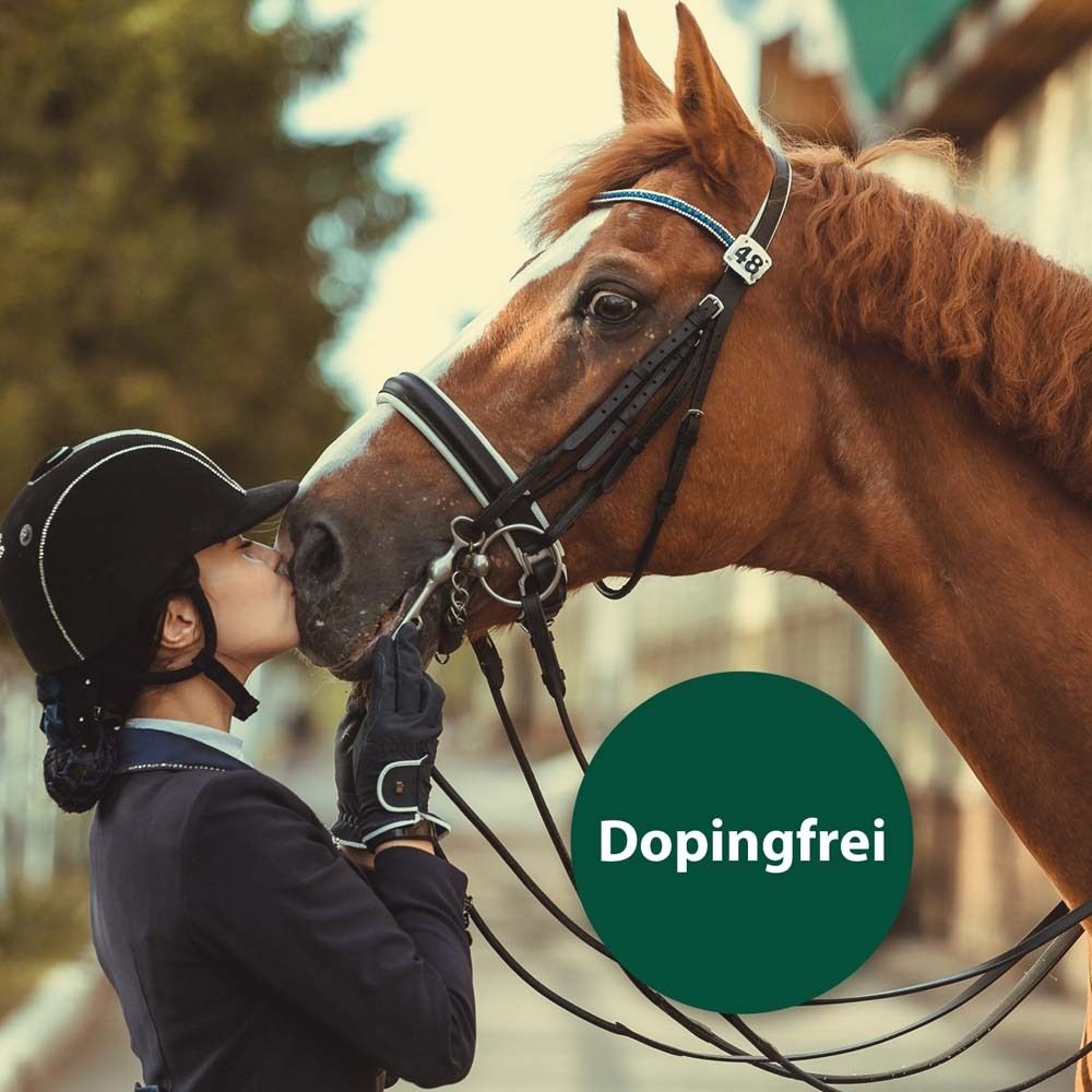 Equisept Fliegen- und Bremsenspray zur Anwendung am Pferd