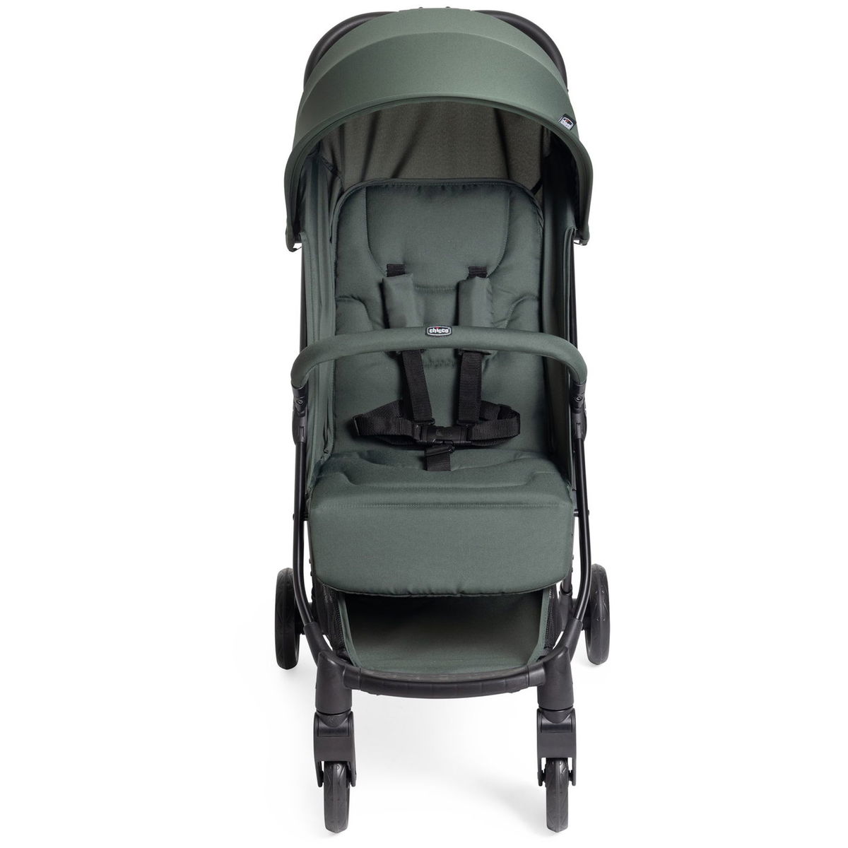 ChiccoChicco   Urbino evergreen