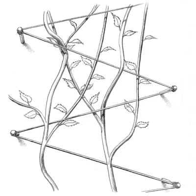 Ranksystem Edelstahl