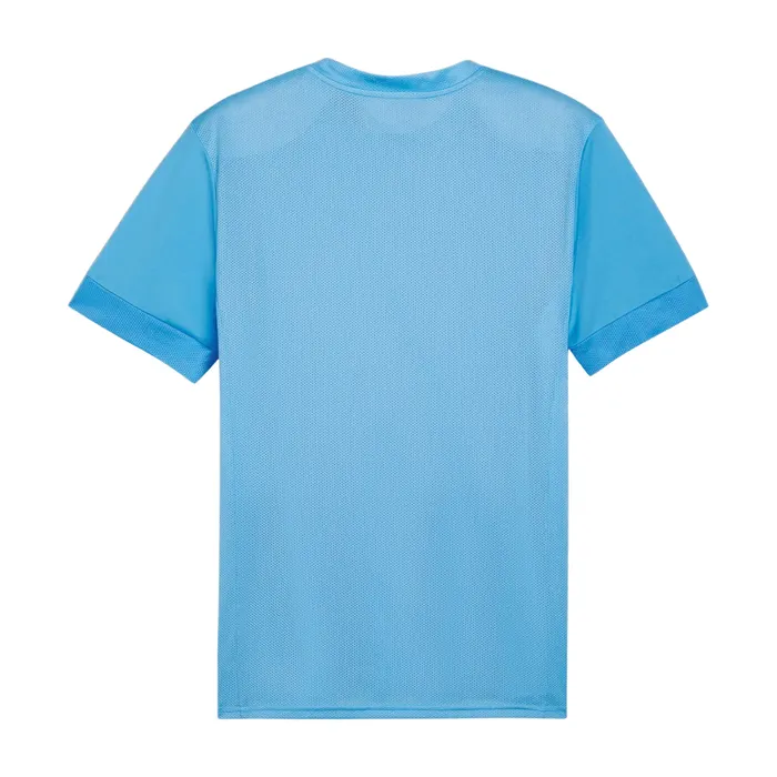 Puma TeamGOAL Matchday Shirt Heren