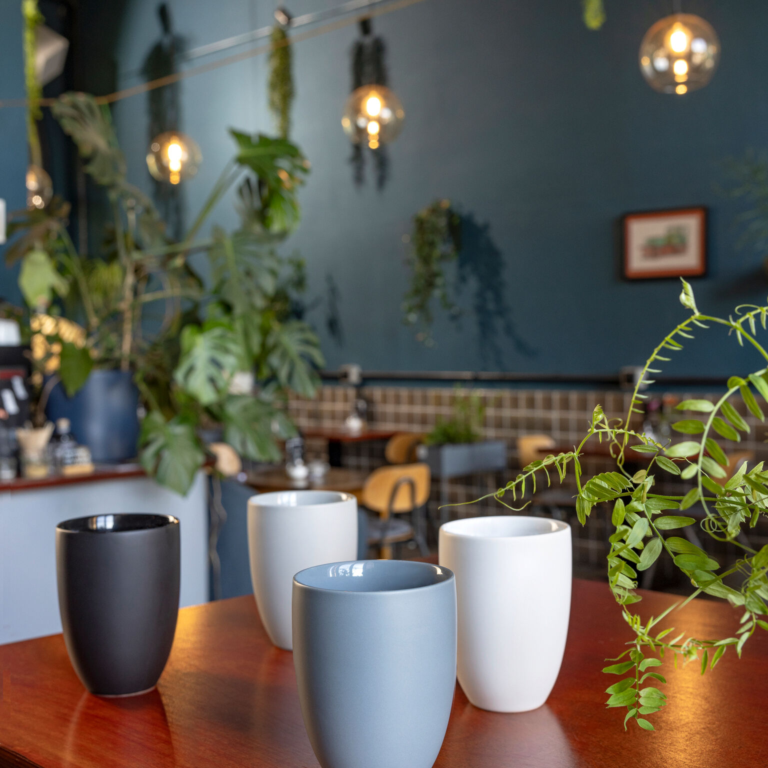 the mug+ Mixed Set 4 Becher doppelwandig