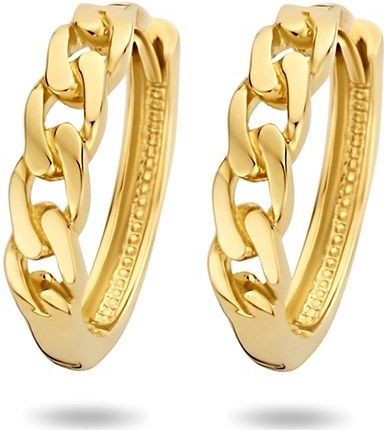 Geelgouden Klapoorringen schakel 4023781