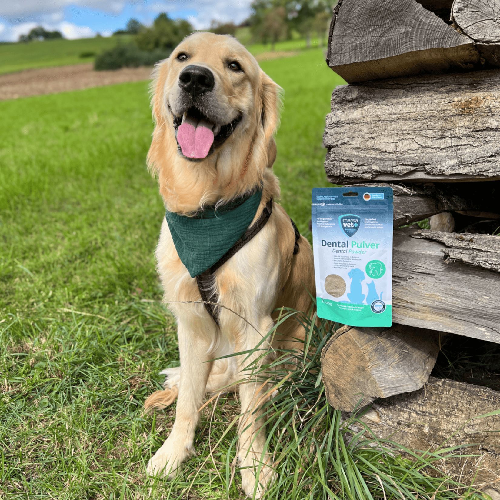 Marsavet Dental Zahnpulver für Hunde- 125 g