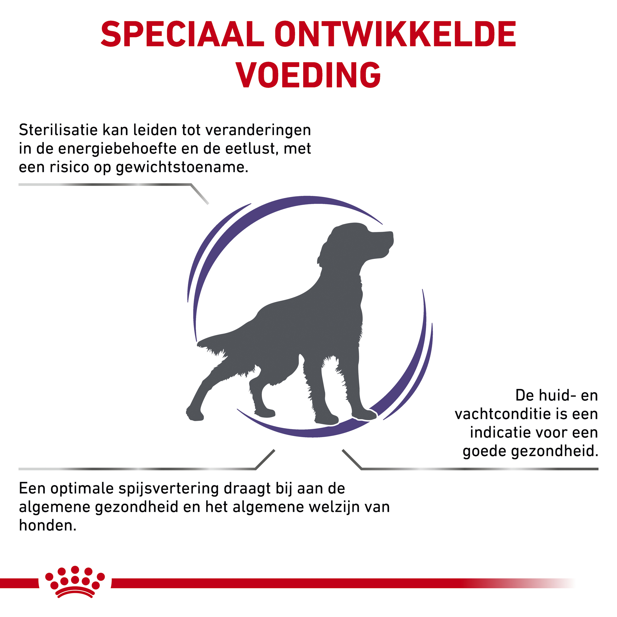 Royal Canin VCN - Neutered Adult Medium Dog