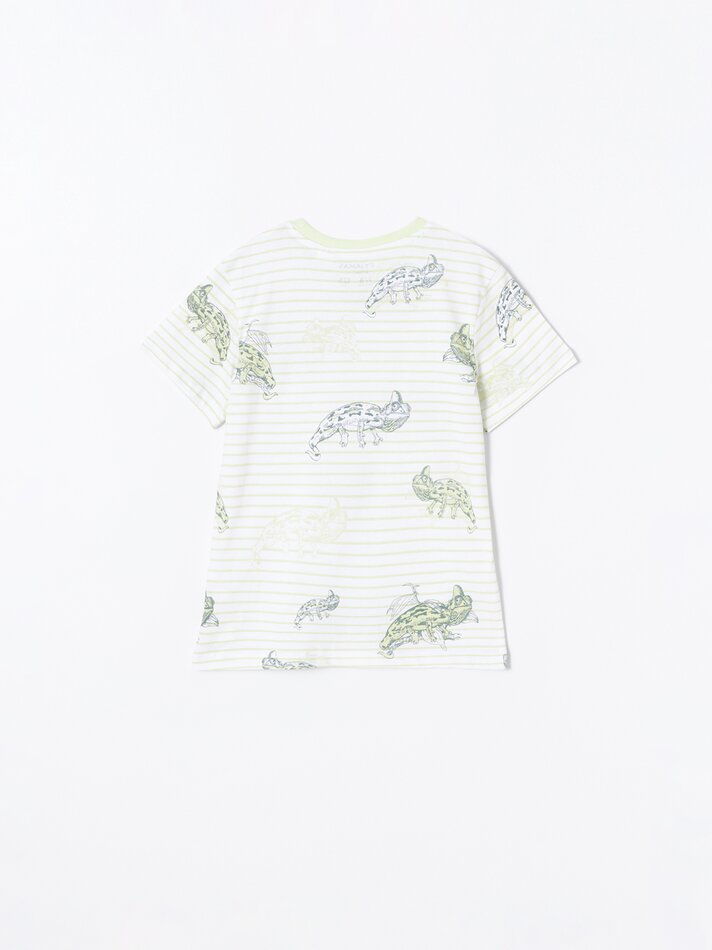 Conjunto com 2 pijamas estampados - Verde