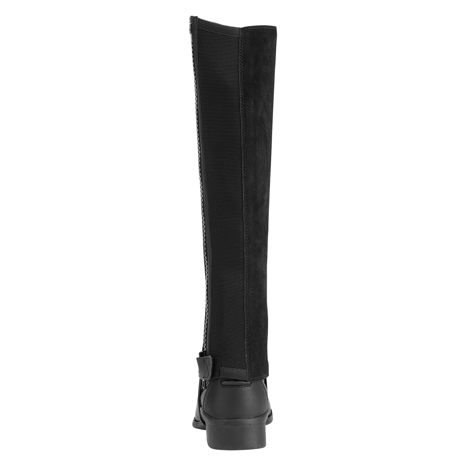 ARIAT Chap Scout  - black