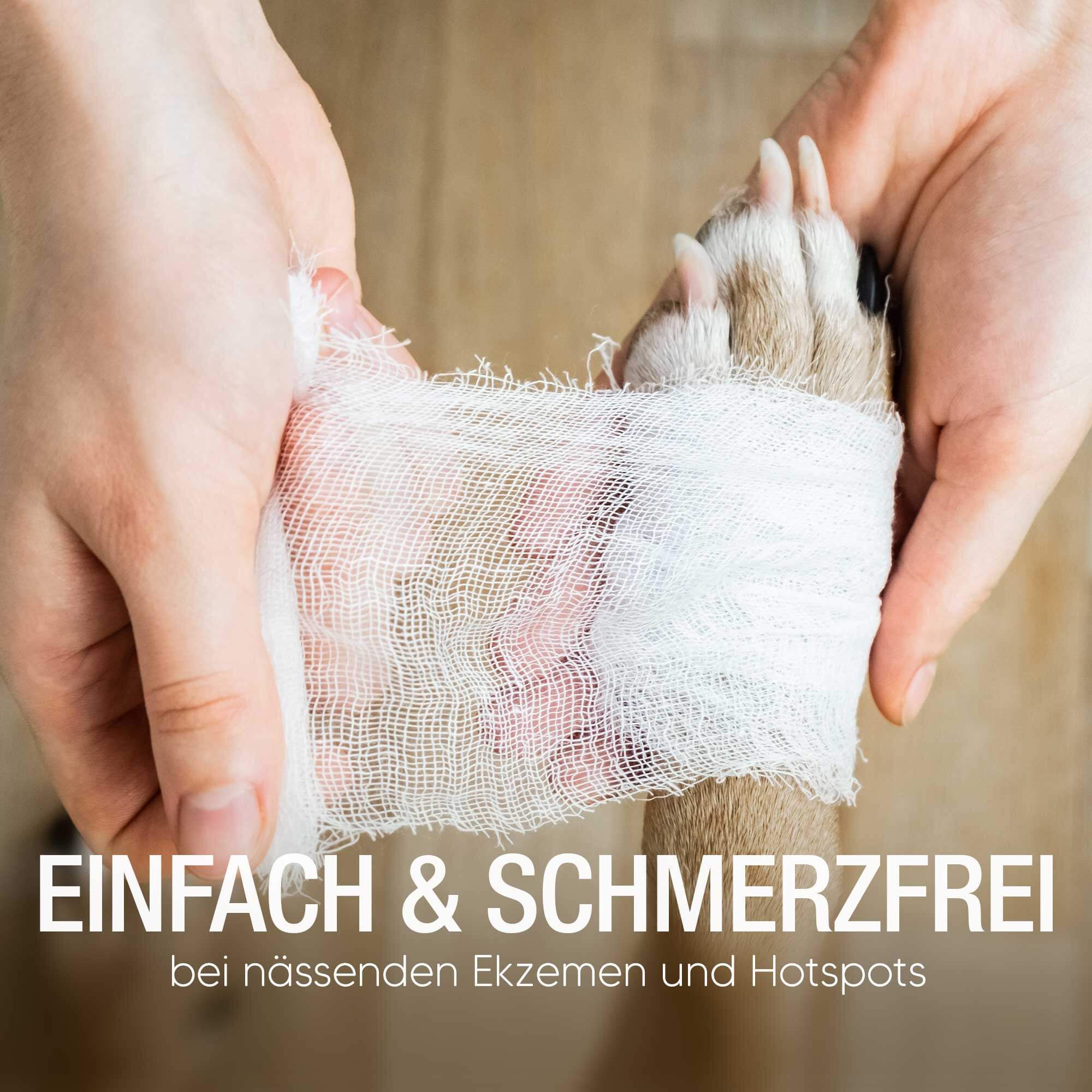 Pawlies Wundsalbe für Hunde & Katzen