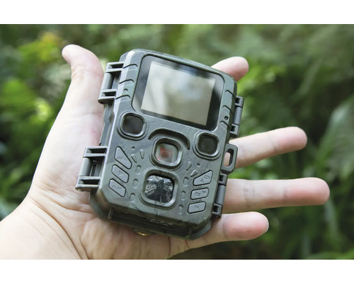 Technaxx Mini Nature Wild Cam TX-117 Op batterijen werkende bewakingscamera voor binnen en buiten, ca. 4,4 x 8,7 x 10,7 cm, Full HD