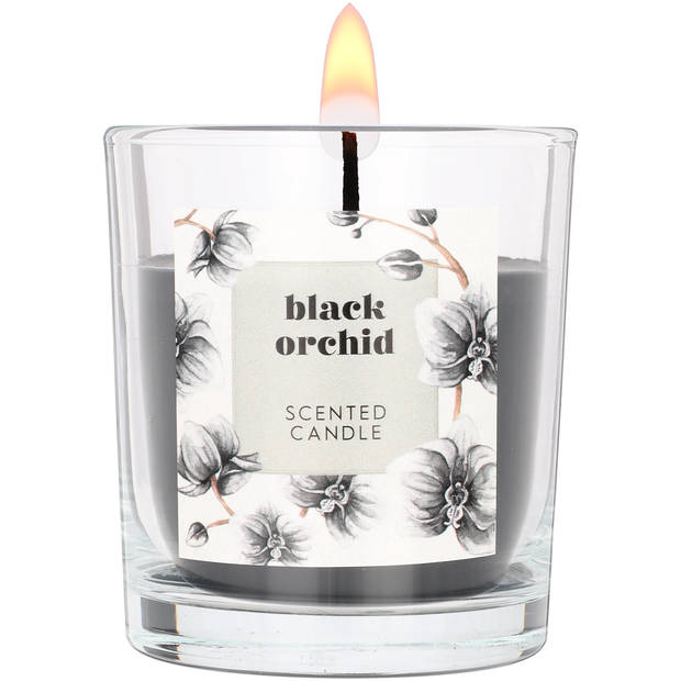 Blokker geurkaars - Black Orchid - klein