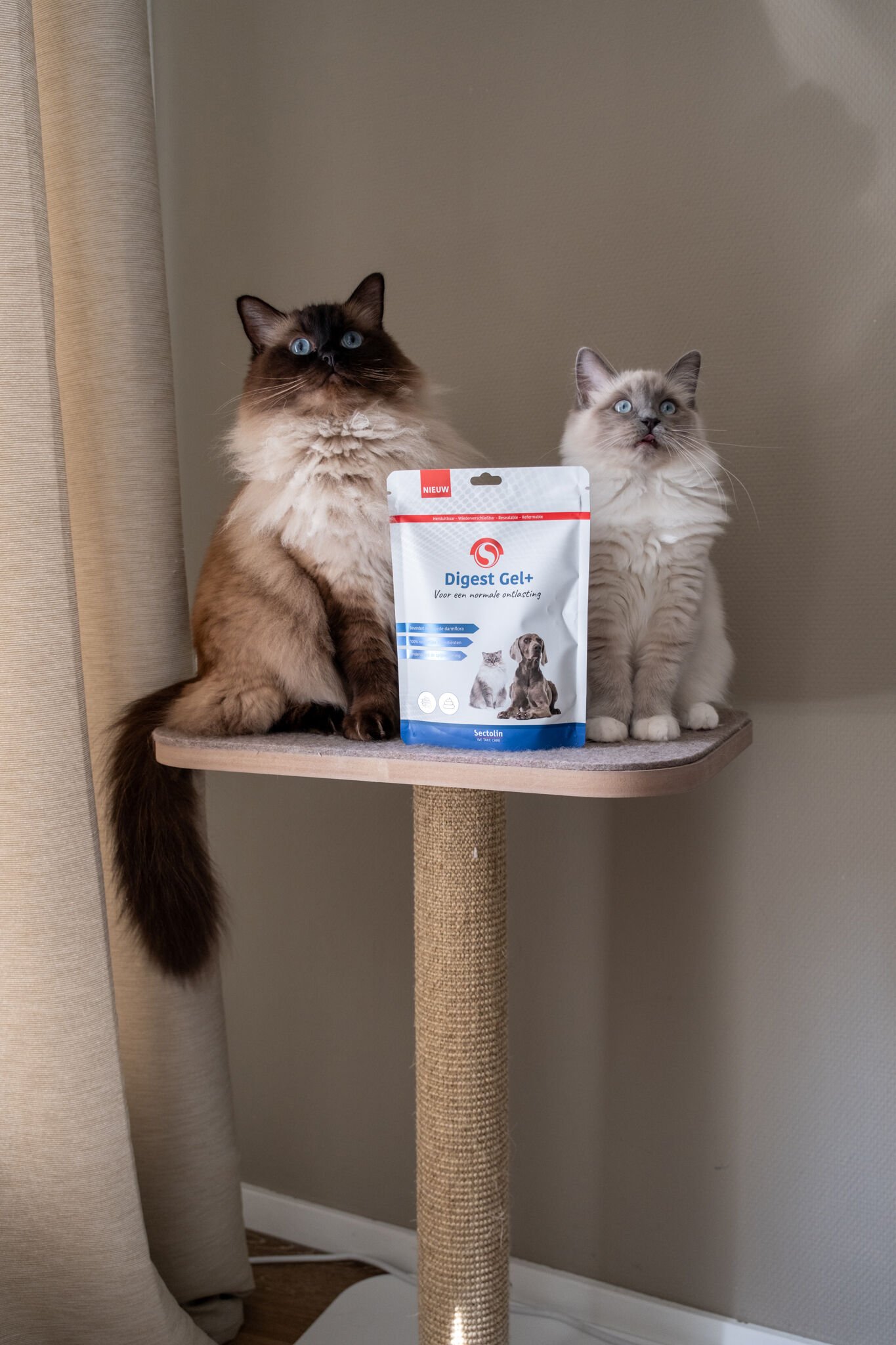 Sectolin Digest Gel  Spijsvertering en darmflora Prebiotica - Hond en Kat - 100 Gram
