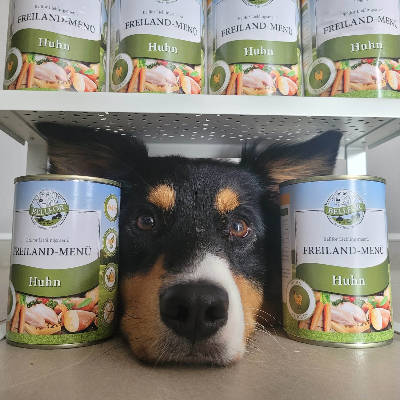 Bellfor Hundefutter Nass mit Huhn - Freiland-Menü - 400g