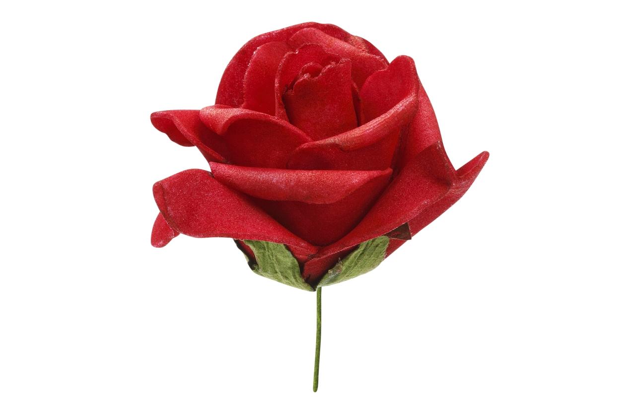 Streudeko Rosen 12 Stück, RotStreurosen zur Dekoration/ Hochzeit