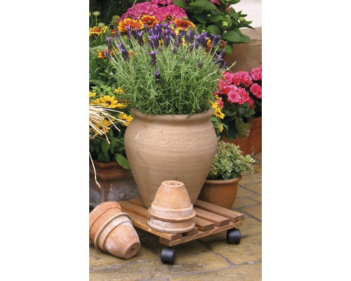 Wagner Nature plantenkar, els, 35x35 cm, bevroren, 100 kg