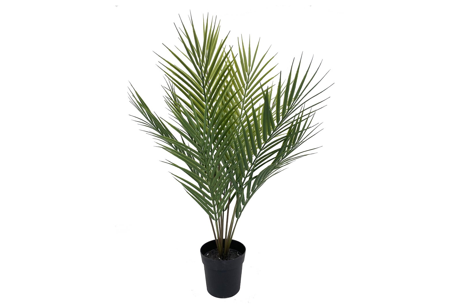 Palme potteplante Grønn Ø64 cm
