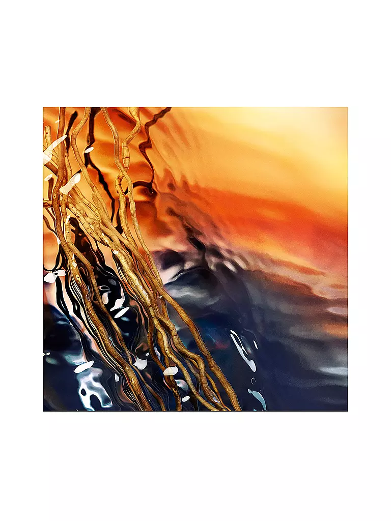 DAVIDOFF Cool Water Reborn  Eau de Parfum 100ml keine Farbe