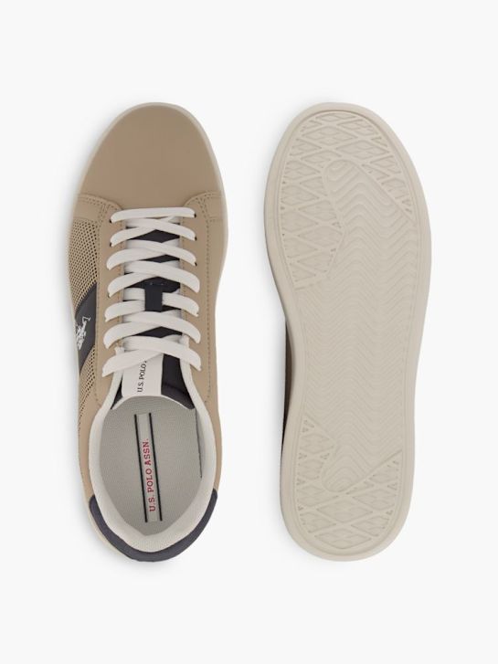U.S. Polo Sneaker Braun