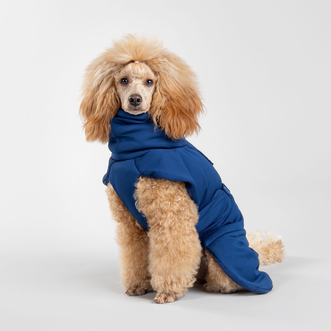 Paikka Drying Coat 2Go navy 30 cm