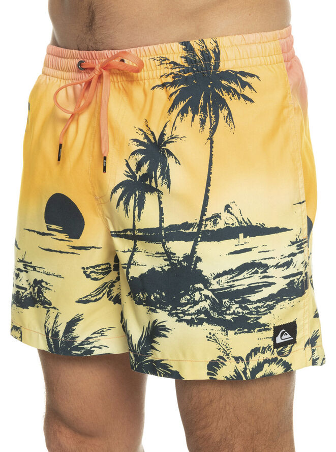Quiksilver Everyday Paradise Volley 15