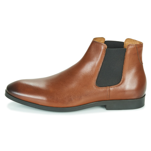 Pellet - BILL - VEAU GOLD