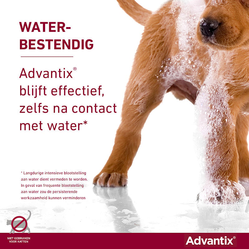 Advantix vlooienmiddel hond