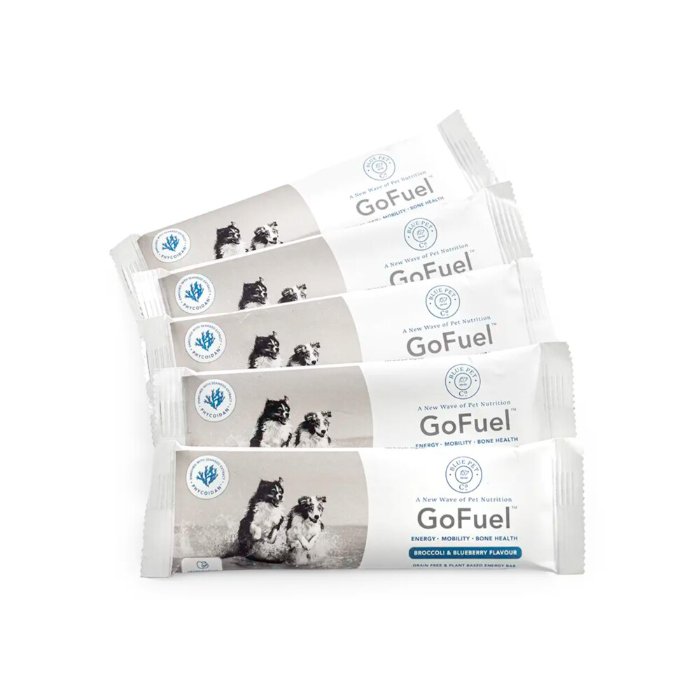 Blue Pet Co GoFuel Energy BarPumpkin50 gr