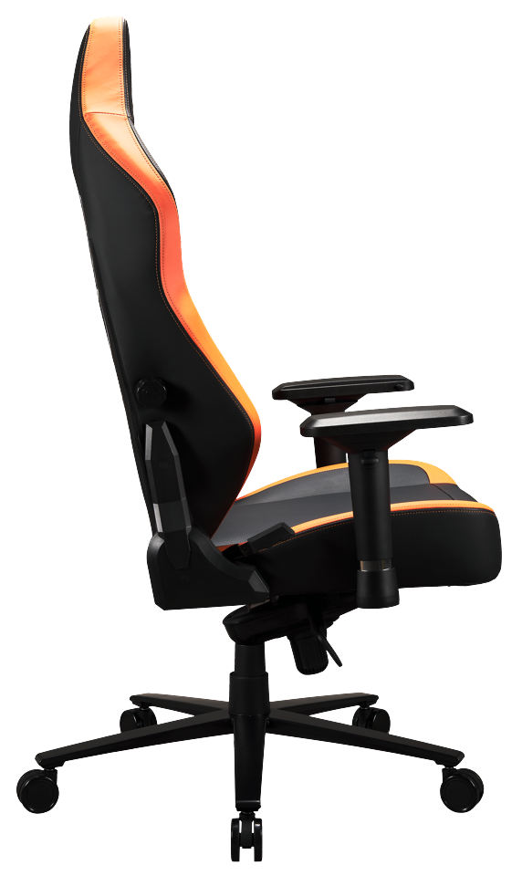 Apollon Collector / Dbz Shenron black seat + gold/grey