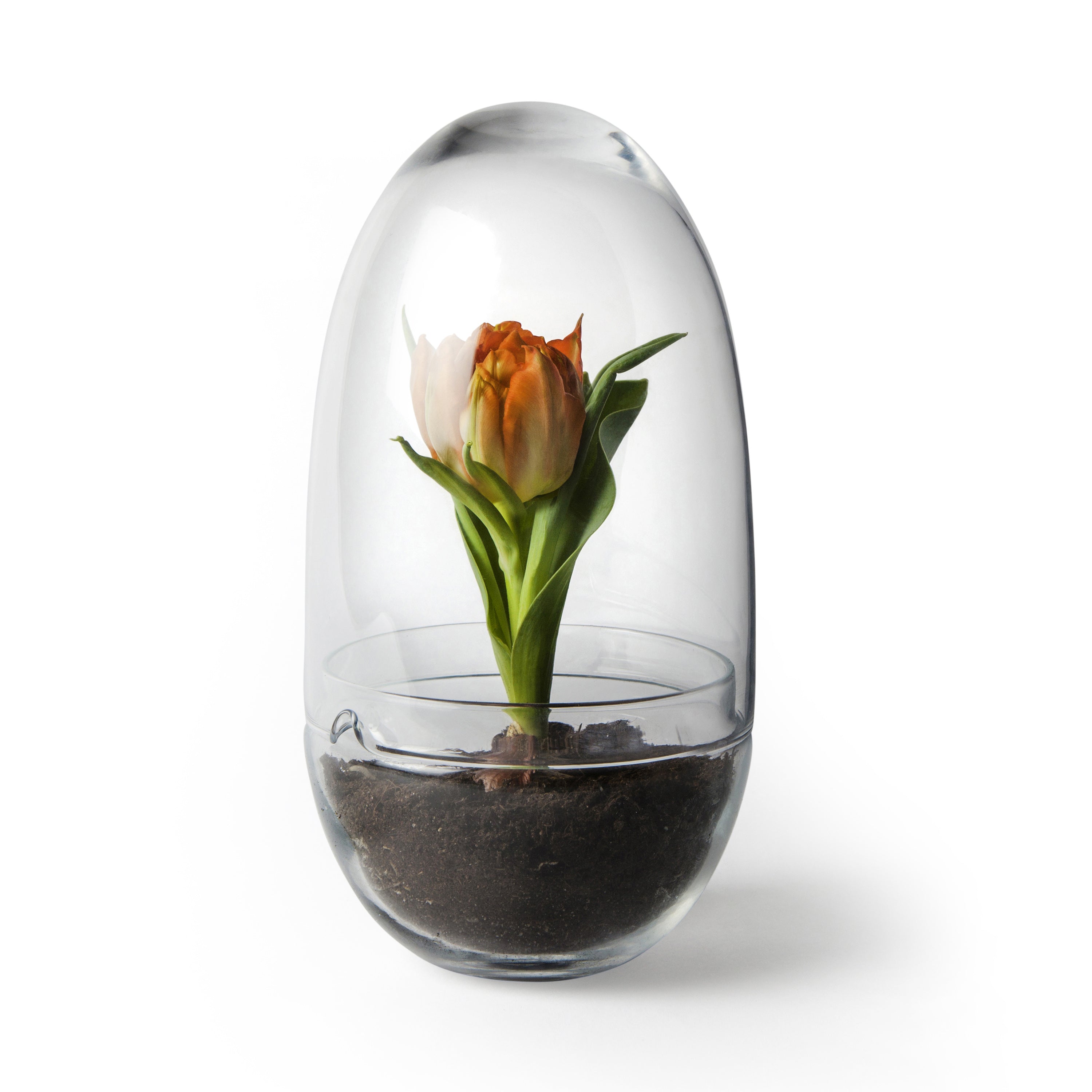 Design House Stockholm Grow Kweekkas