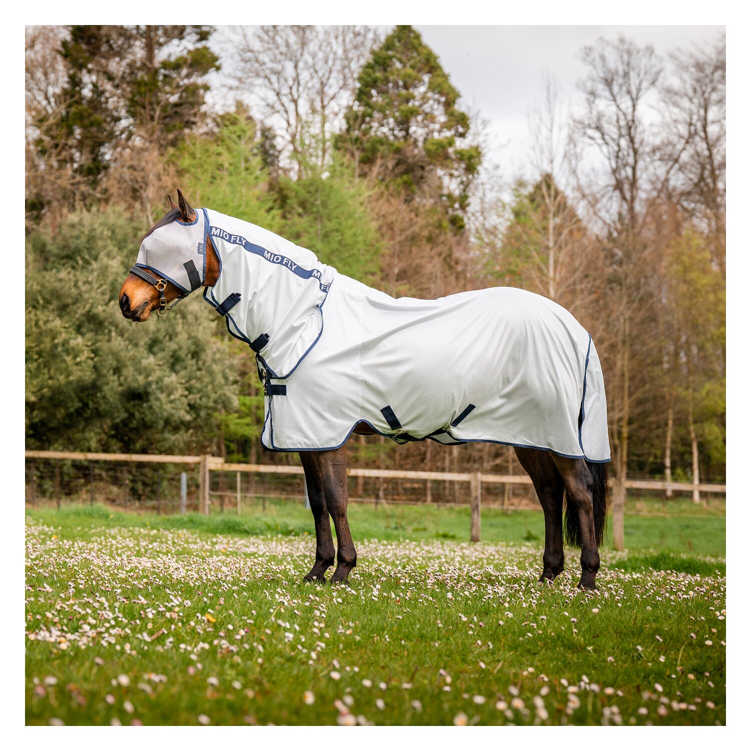 Horseware Fliegendecke MIO - lunar/rock/navy