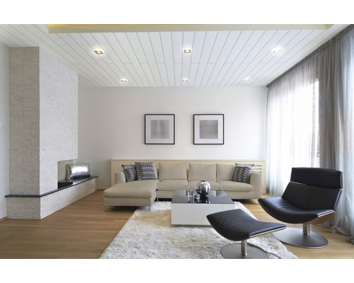 Edelweiss decoratief paneel 10x150x2600 mm