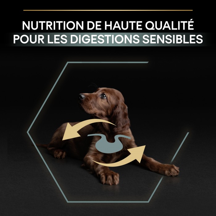 PRO PLAN Sensitive Digestion Large Athletic Puppy à la Agneau- Croquettes pour chien