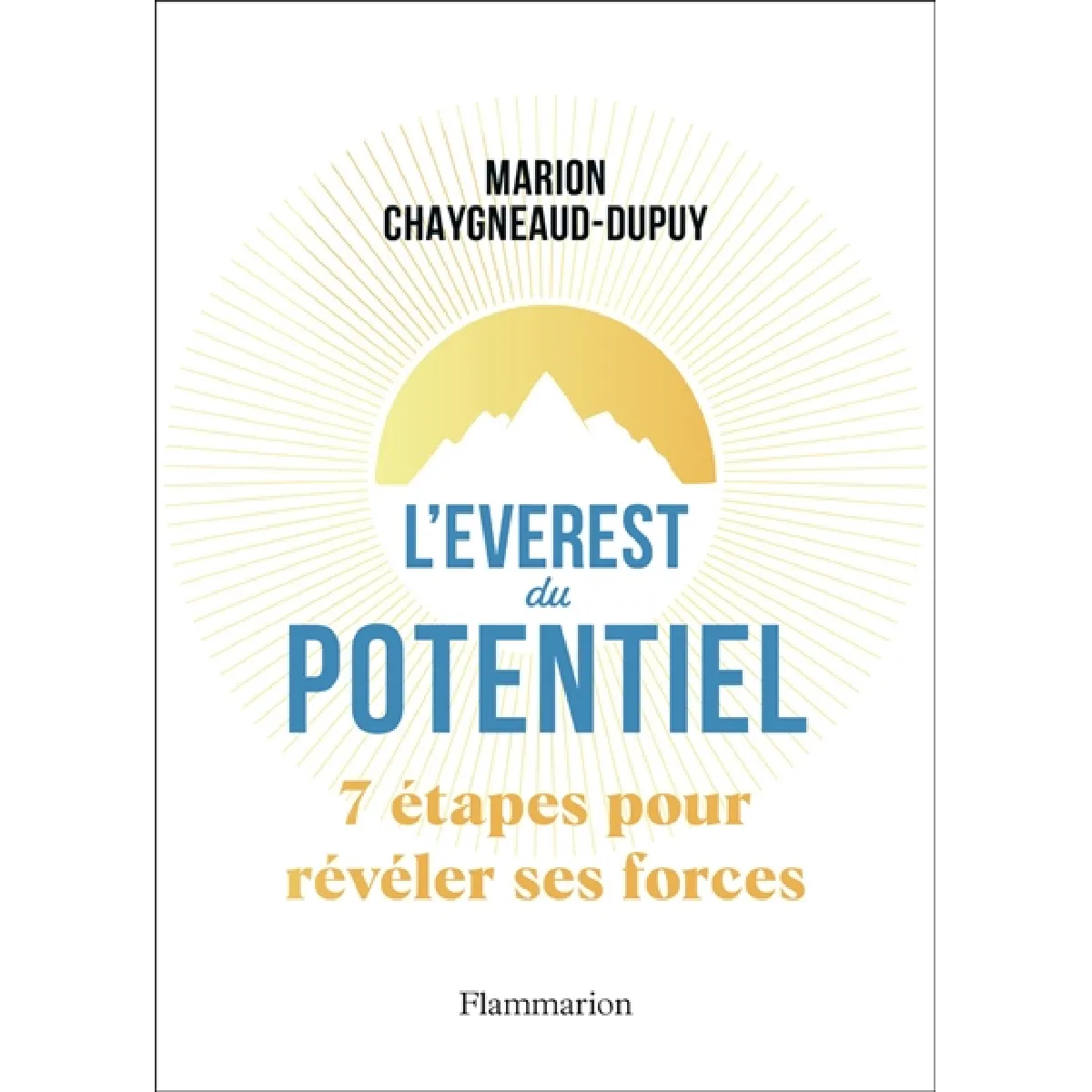 L'Everest du potentiel : 7 étapes pour révéler ses forces · Occasion
