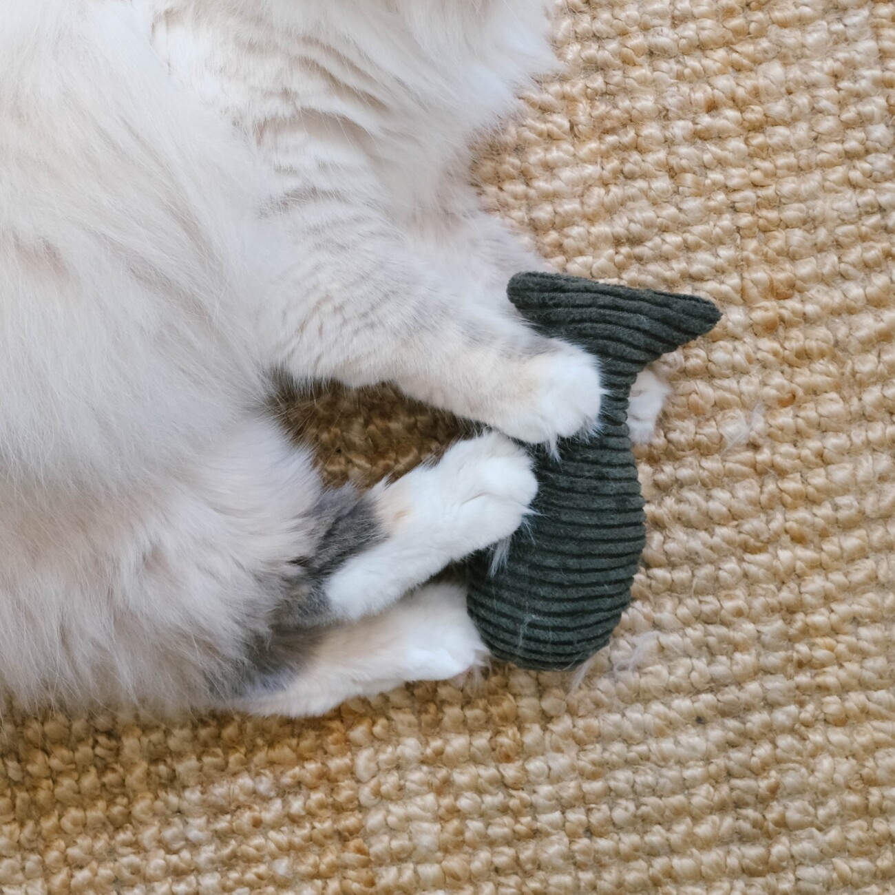 The Catery Katzenminze Kissen Fisch