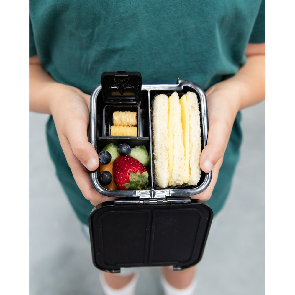 Køb MontiiCo Dinosaur Land Bento Two