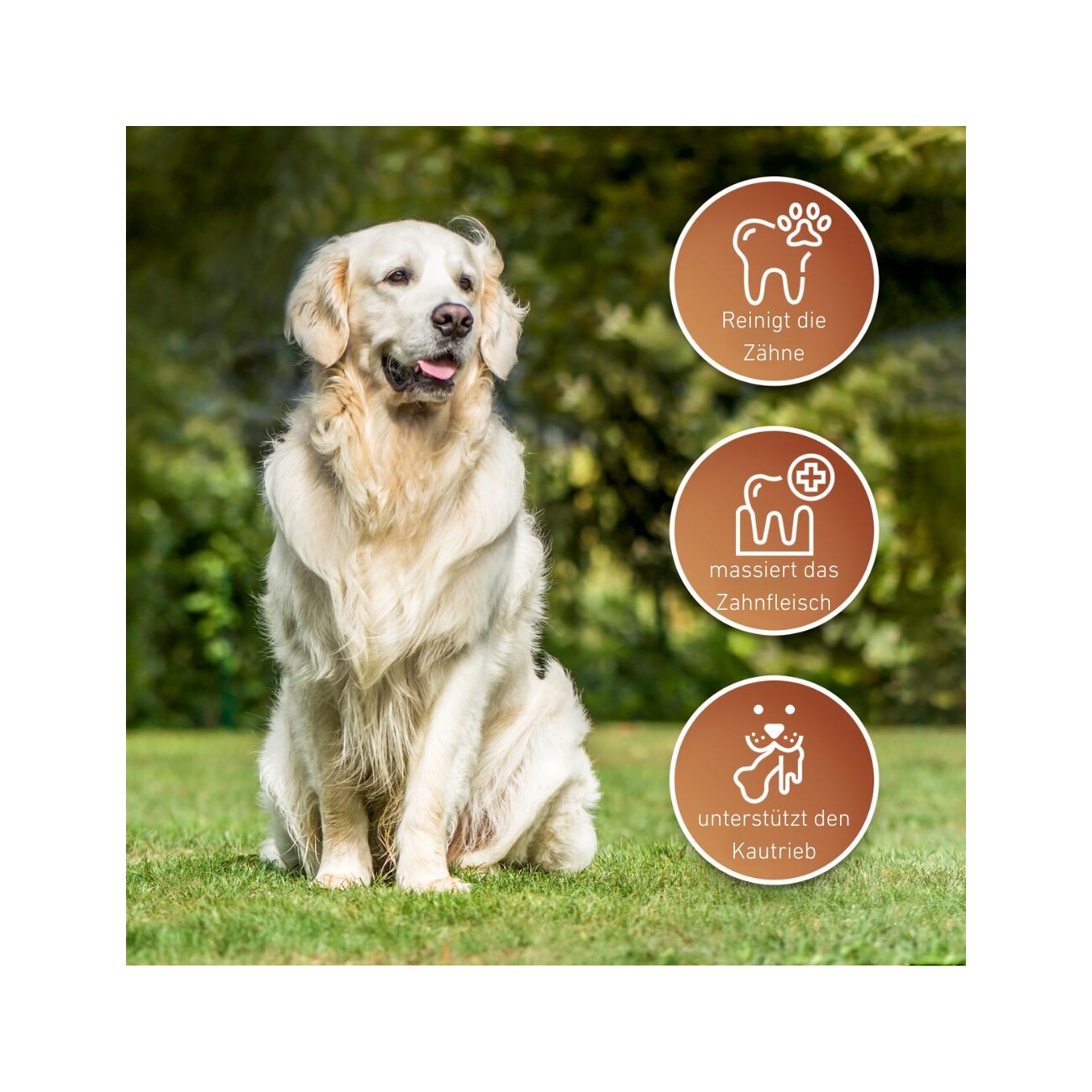 Wildfang ® Lederknochen - Kauleder 1 L