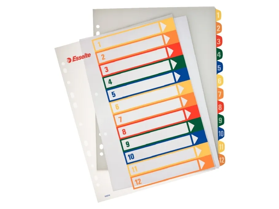 Register PC printbar Esselte PP A4 maxi Flerfarvet - (10 stk.)