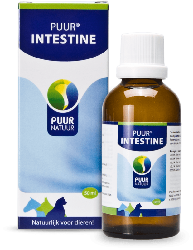 Puur Natuur Intestine 50ml