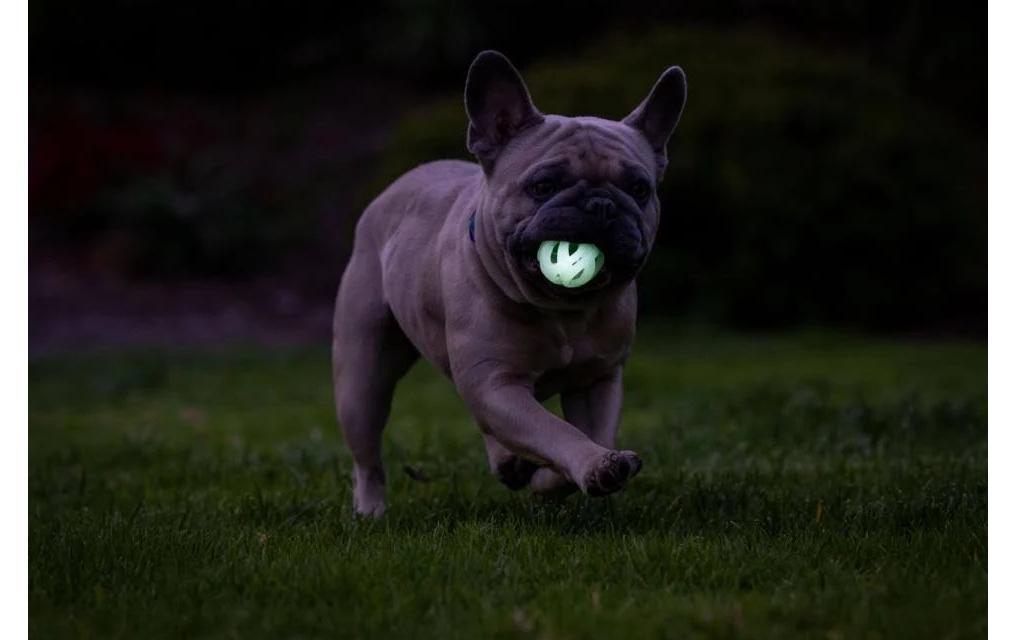 Leuchtball Max Glow Air Fetch Grösse M, 2 StückPhosphoreszierender Erholungsball für Hunde
