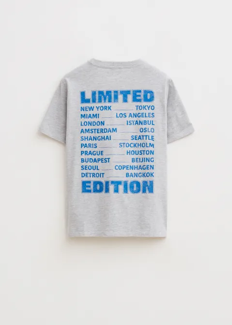 T-shirt met print limited edition grijs (GRS.LME)