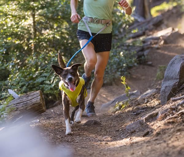 RUFFWEAR® Hundeleine Trail Runner™, 1,8 m