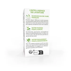 Arkogélules Ananas - 45 Gélules
