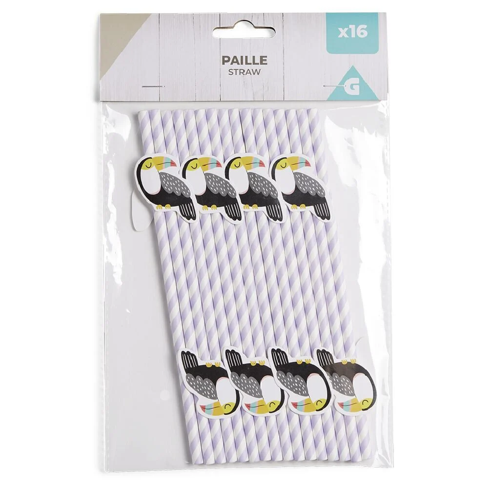 Lot de 16 pailles décorées papier L25cm