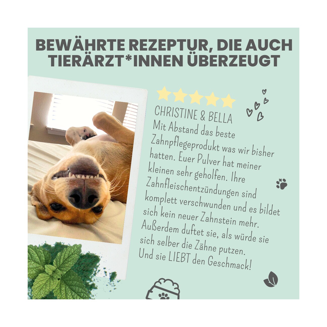noms+ Dentalmix für Hunde zur Zahnpflege und für frischen Atem 150g