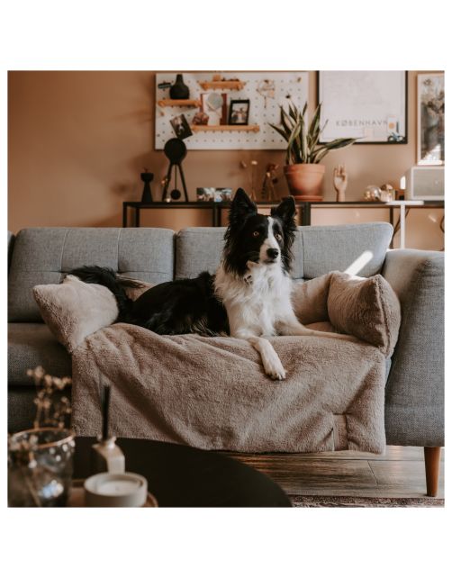 District 70 Nuzzle Sofa Bed Taupe - Hondenbank