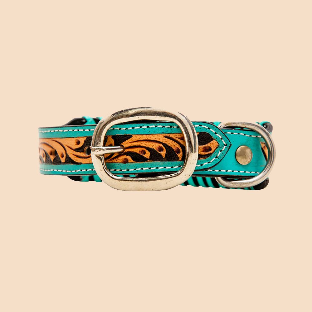 Myra Bag Dog Collar Acety